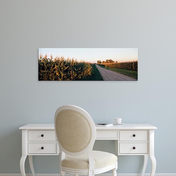 Easy Art Prints Panoramic Images's 'Dirt road passing through fields, Illinois, USA' Premium Canvas Art