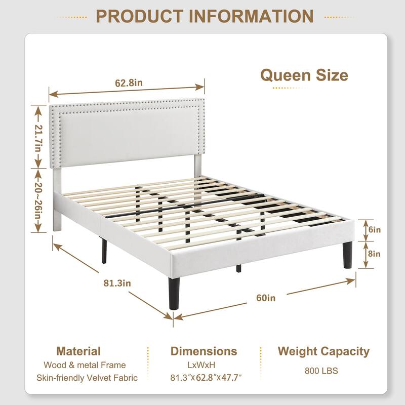 Upholstered Platform Bed Frame with Adjustable Headboard, Velvet Nailhead Trim, No Box Spring Needed
