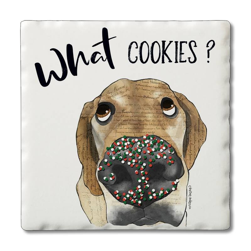 Counterart Absorbent Stone Coasters - What Cookies - Set of 4 - 4x4x1.542