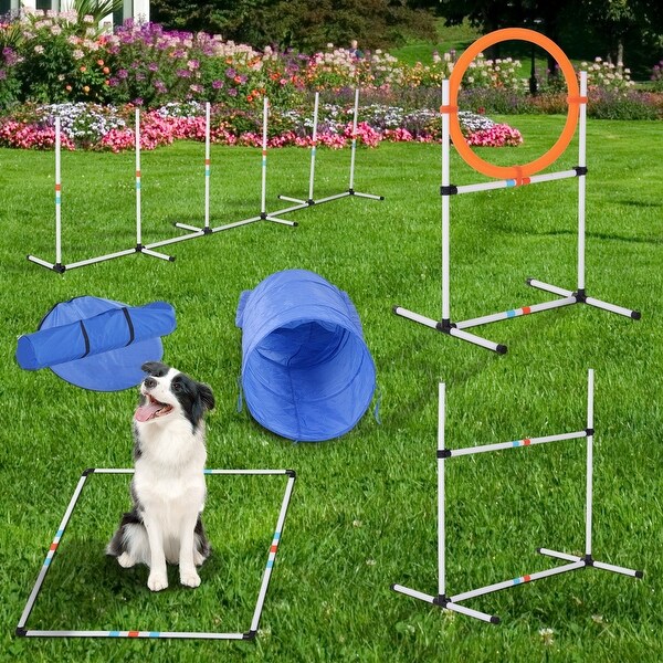 Dog obedience training equipment Clearance