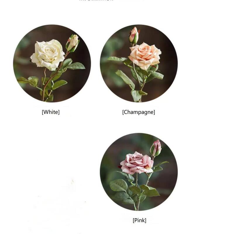RusticReach Rolled Edge American Rose Stem 18" Tall - White - [B]-Three Stems