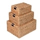 preview thumbnail 3 of 8, Woven Rectangular Storage Baskets with Lids & Handles (Set of 3)