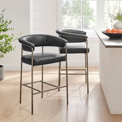 NPD Furniture Kaiden Faux Leather Counter Stool (Set of 2)