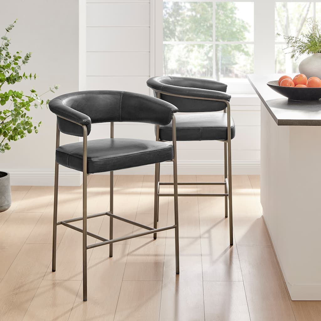 NPD Furniture Kaiden Faux Leather Counter Stool (Set of 2)