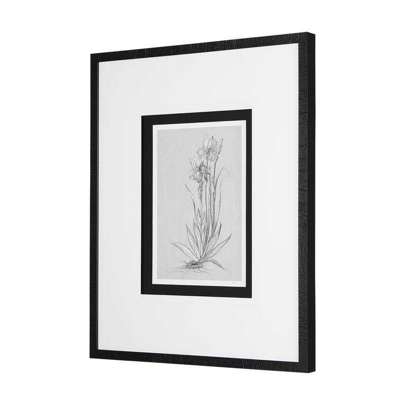 Botanical Sketches IV (Grey) Framed Art Print