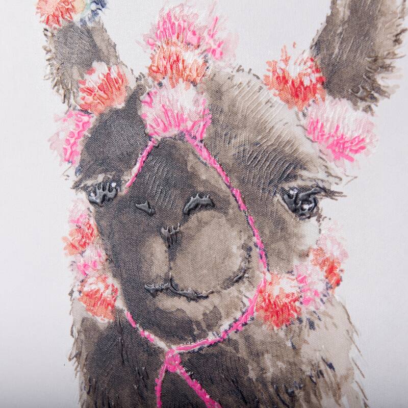 Lama II (30 x 45) Canvas Art Print