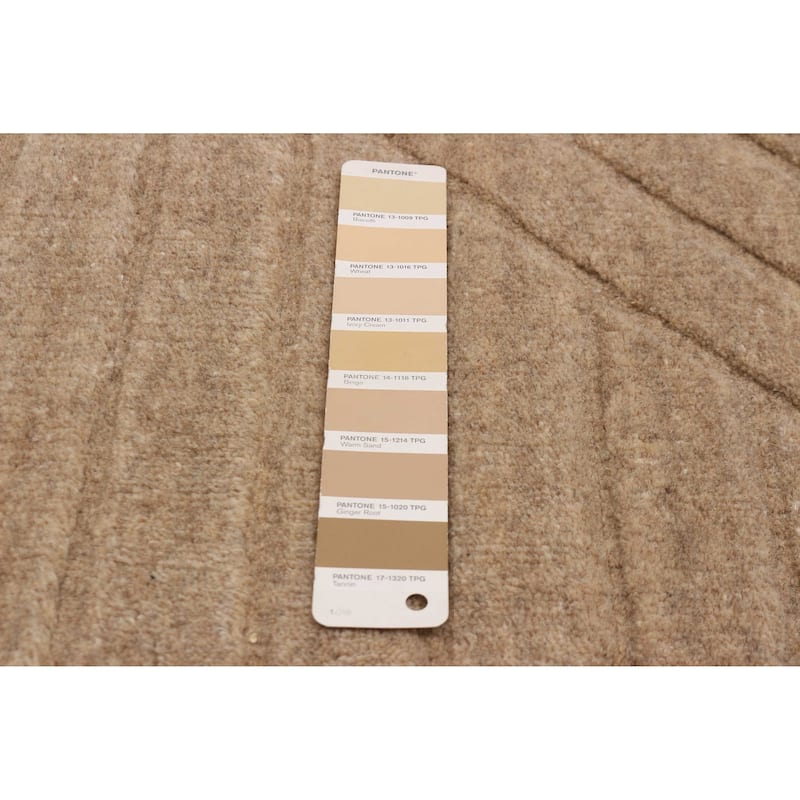 Kashkuli Gabbeh Tan Rug 5'5" x 7'6" - 5'5 x 7'6