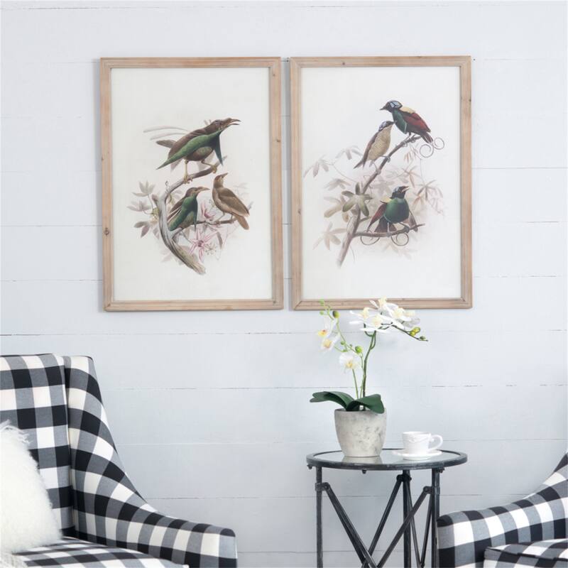 19.5x27.5 inch S/2 Bird Framed Print - Multicolor