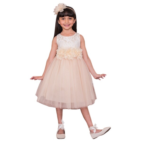 Kids Dream Little Girls Champagne Floral Lace Tulle Flower Girl Dress - Overstock - 23089570