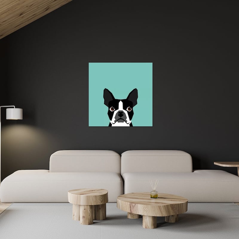 Boston Terrier Print On Acrylic Glass by Pet Friendly