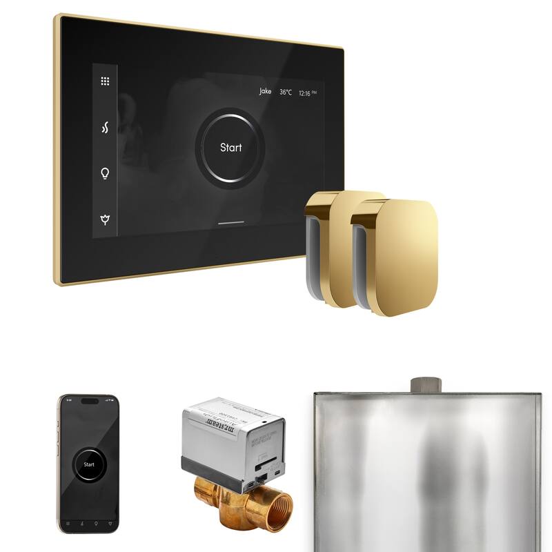 Mr Steam BXX Xbutler Max Package Steam Shower Control Package with - Black / Polished Brass