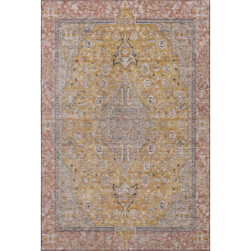 Premium Washable Super Soft Vintage Traditional Mayfield Rug