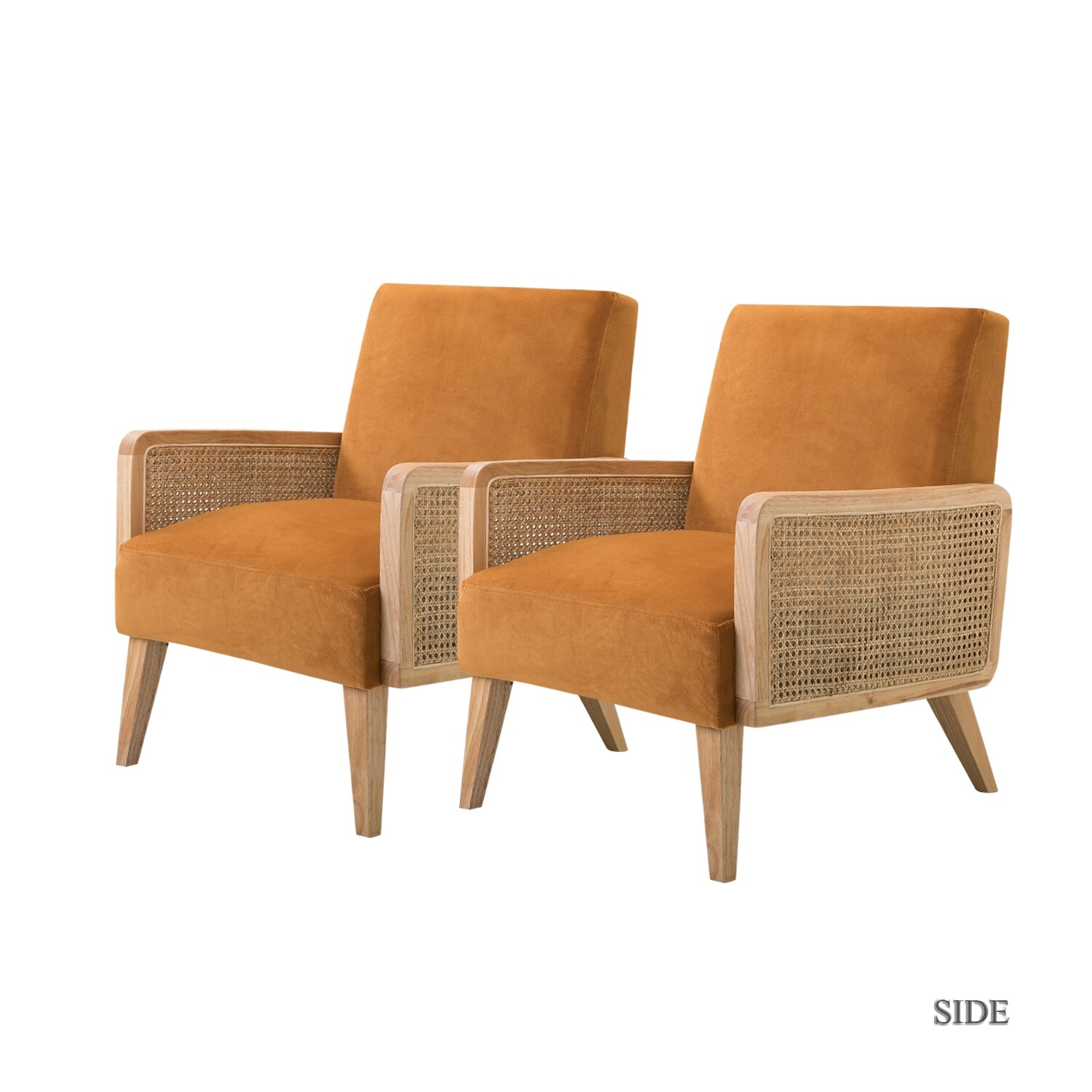 Delphine cane accent deals chair