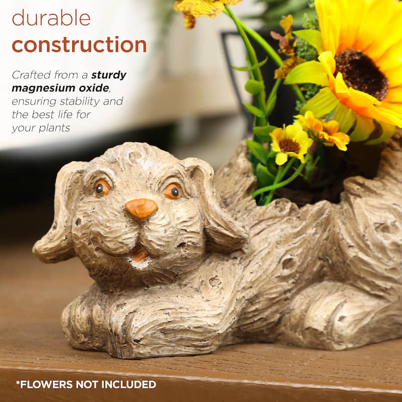 Dog Planter w/o Plants with Drainage Hole