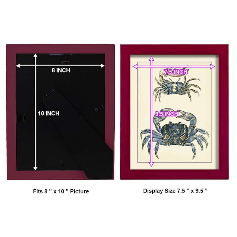 Antique Blue Crabs II -Framed Print w/glass-Cherry Red
