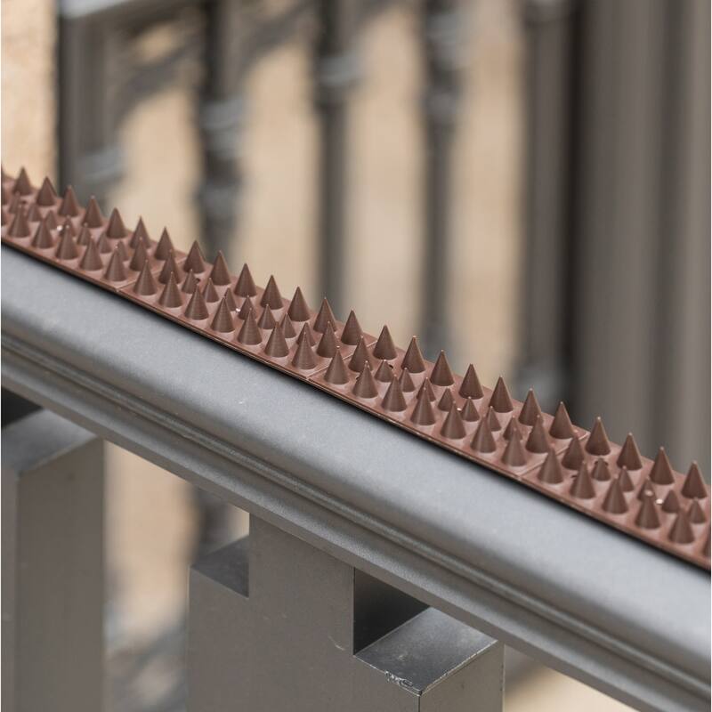 Plastic Repellent Wall Defender Fence Spikes for Birds, 10 Pack