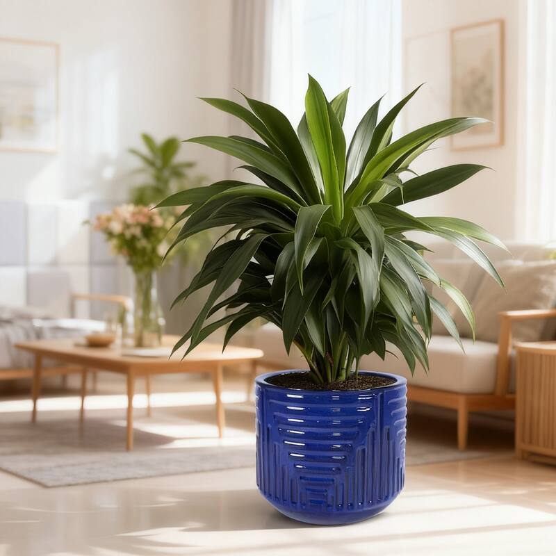 16" Dia Round Planters for Indoor Plants, Large Outdoor Planters with Drainage Holes