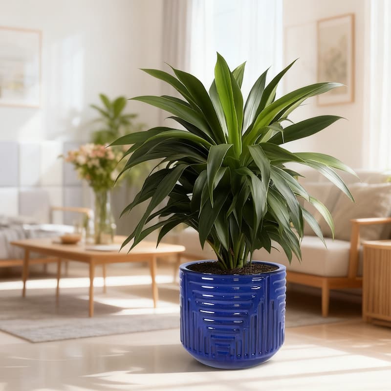 Anmytek Ceramic Round Planter with Drainage for Indoor Outdoor