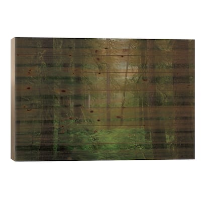 USA, Washington State, Olympic National Park. Western hemlock trees in rainforest. Print On Wood by Jaynes Gallery - Multi-Color