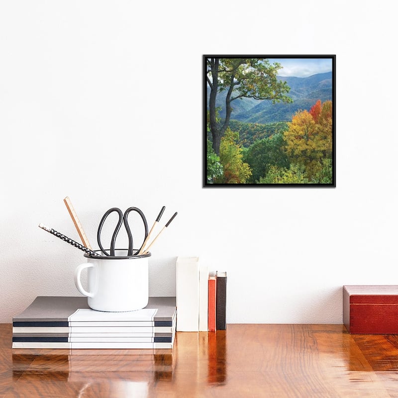 iCanvas "Deciduous Forest In Autumn, Blue Ridge Parkway, North Carolina" by Tim Fitzharris Framed Canvas Print