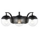 preview thumbnail 24 of 57, Carbon Loft Barton Clear Glass and Steel 3-light Bath Vanity Black with Black