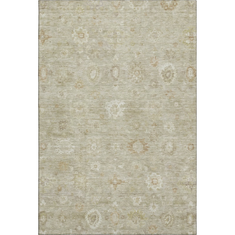 Premium Washable Super Soft Vintage Traditional Mayfield Rug