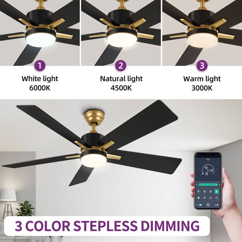 52 Inch Smart Ceiling Fan with Light Remote and APP Control