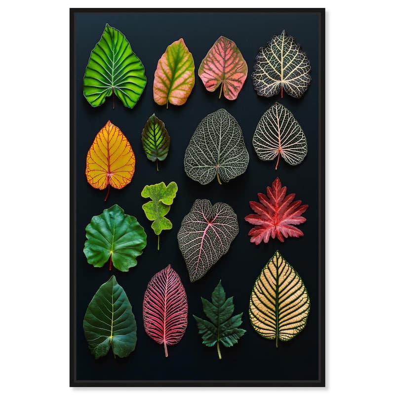 Leaf Lexicon Canvas by Art Remedy - Black - 24" x 36"