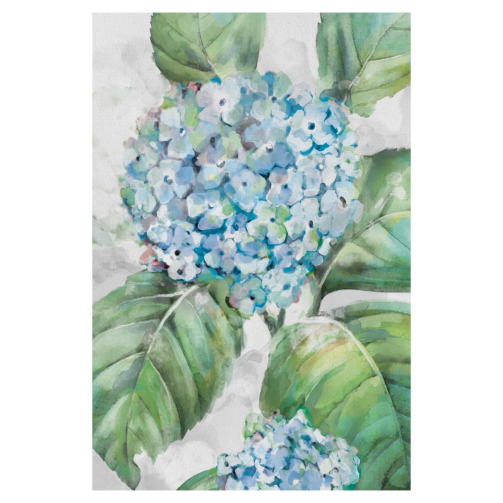 Hydrangea Portraits II by Studio Arts Canvas Art Print