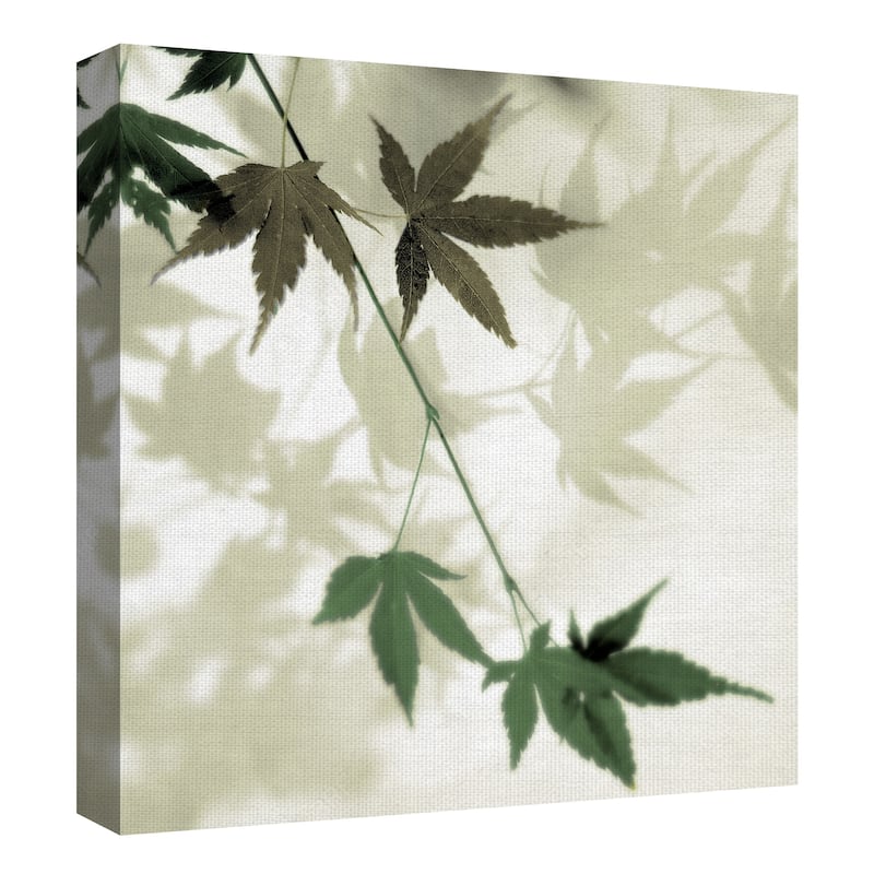 Japanese Maple #2 by Alan Blaustein Canvas Art Print
