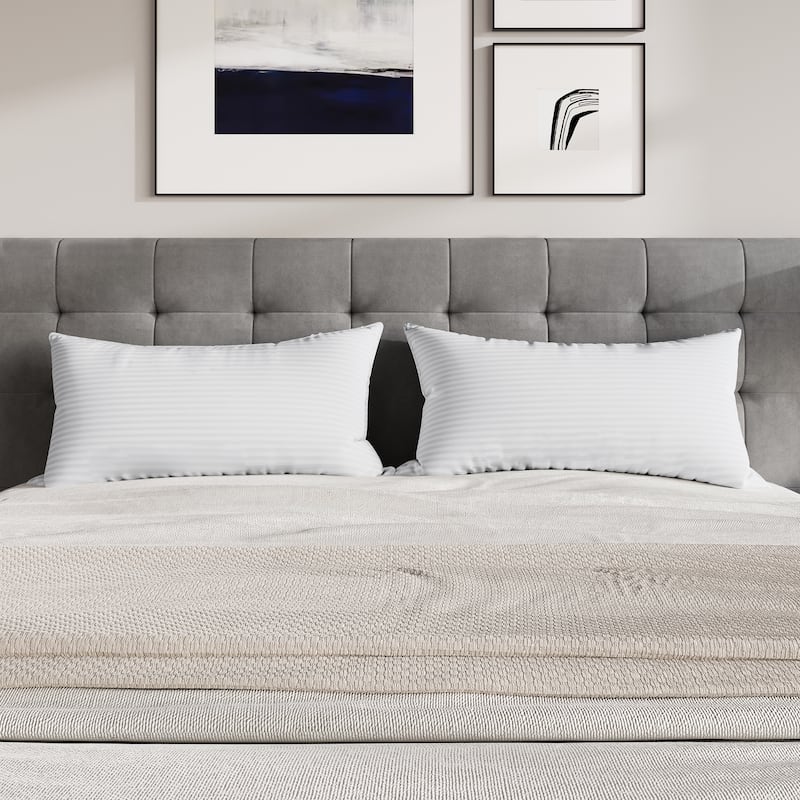 CraftPorch Elegence 2 Pieces Pillow