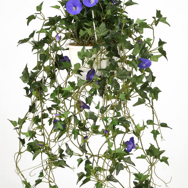 National Tree Company 44 in. Hanging Morning Glory Plant - 44in