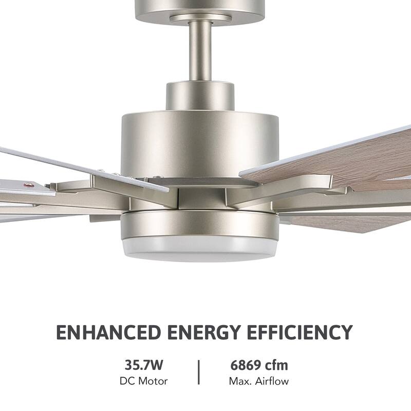 CO-Z 60'' 8-Blade Large Windmill Ceiling Fan with LED Lights and Remote for Living Room