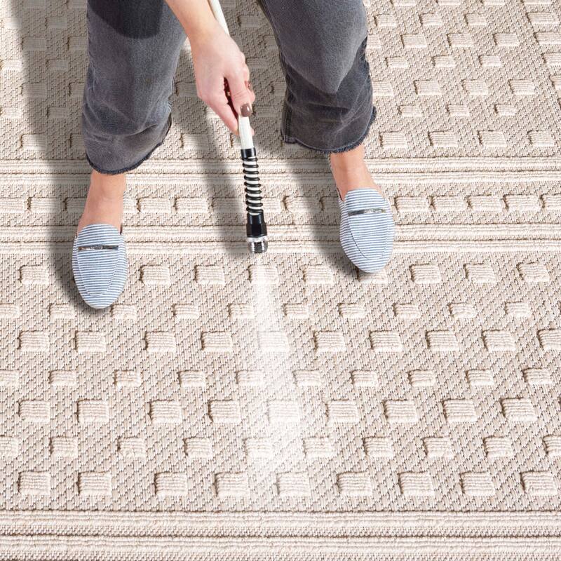 SAFAVIEH Milos Rosabelle Casual Rug