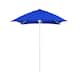 Option Pacific Blue