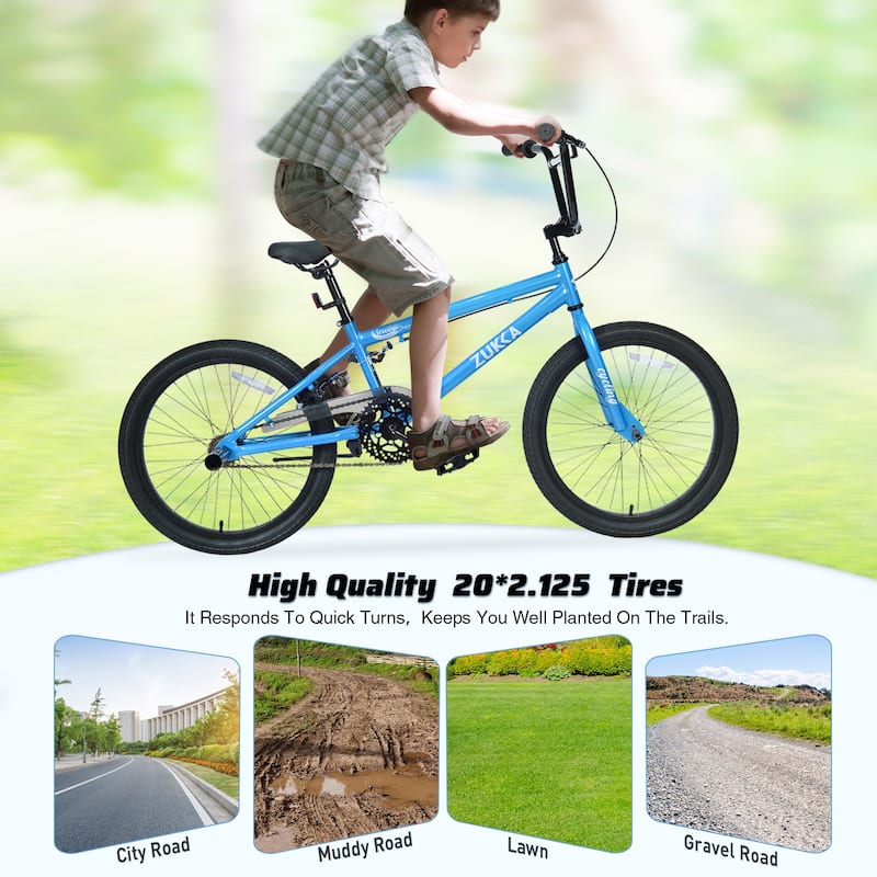20 Inch Freestyle Kids Bike, Single Speed, Steel Frame with Caliper and V Brakes, Boys & Girls Ages 7+