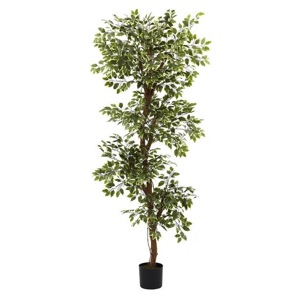 6' Artificial Variegated Ficus Tree Bed Bath & Beyond 37424686