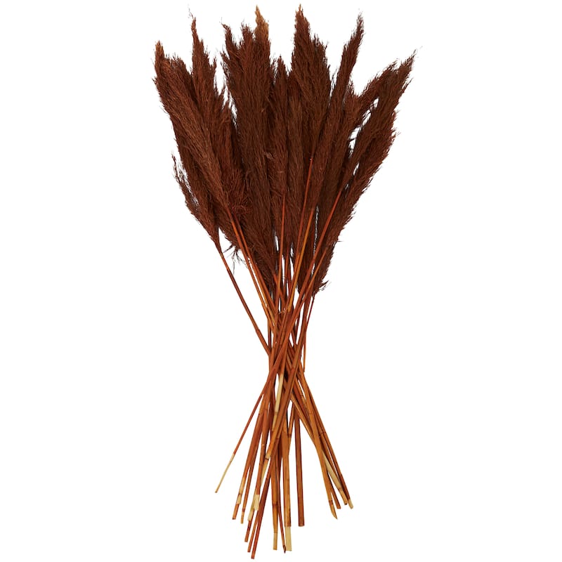 Copper Dried Plant Pampas Home Decor Natural Foliage with Long Stems