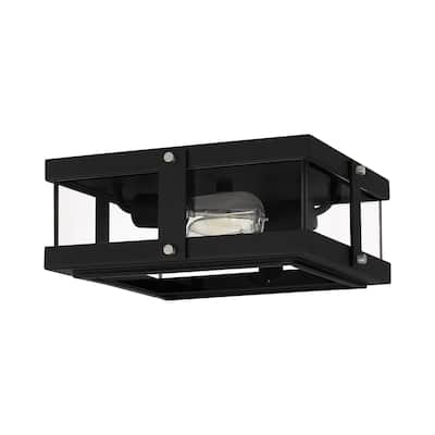 Beck 2-Light Earth Black Flush Mount with Clear Glass Shade