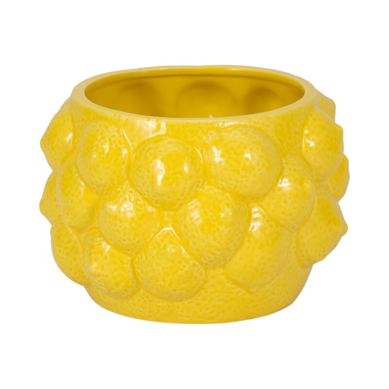 Textured Stoneware Ceramic Planter with Sculpted Bulbous Design