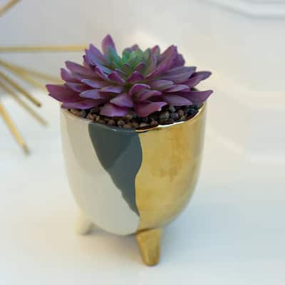Succulent in 5" 3-TONE FOOTED CERAMIC,GREY - ONE-SIZE