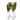 Majestic Gifts Inc. Vivid Champagne Flute, Green, 7 oz. Set of 4