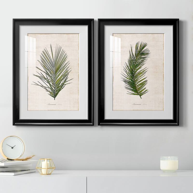 Palm Botanical I Premium Framed Print - Ready to Hang