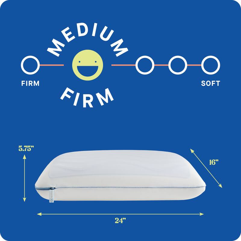 Sealy Dreamlife Memory Foam Gel Pillow