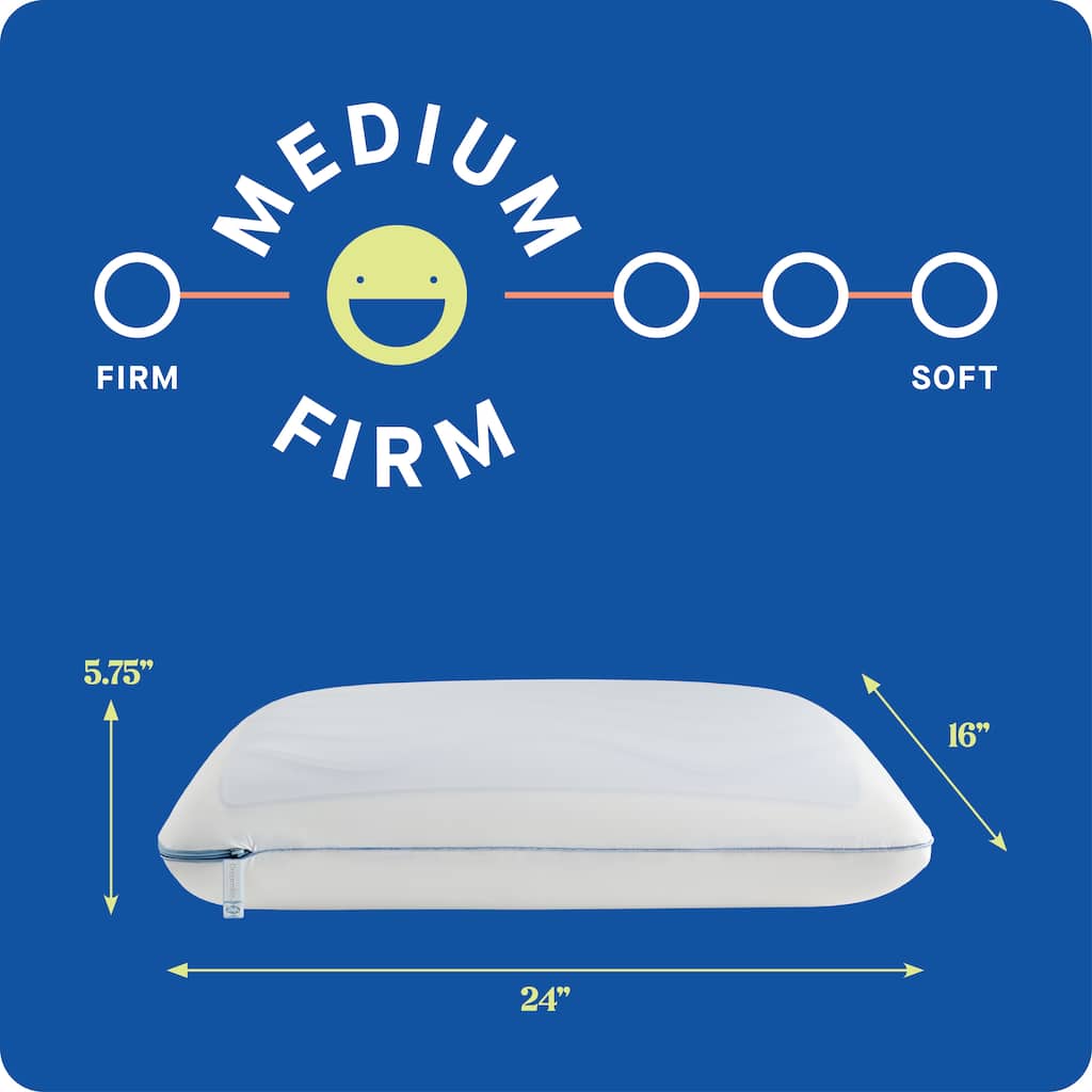 Sealy Dreamlife Memory Foam Gel Pillow
