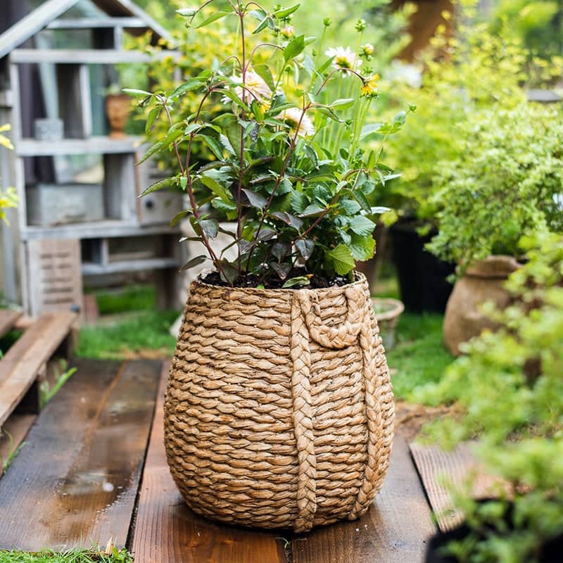 RusticReach Large Rope Basket Cement Planter