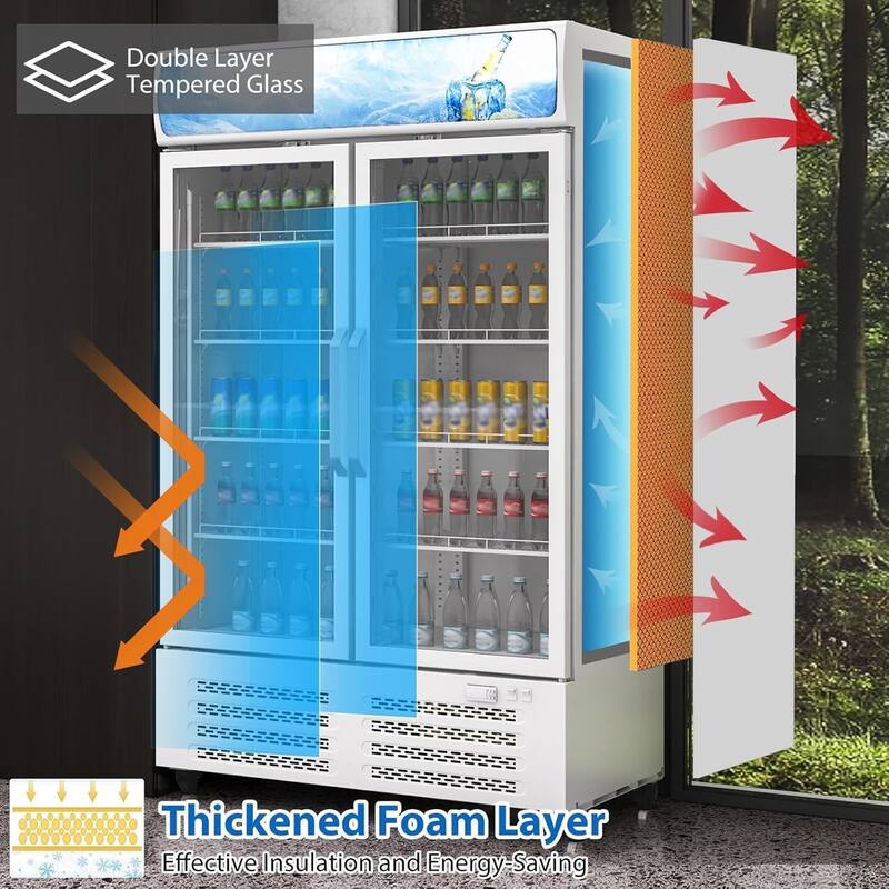 26 Cu.Ft Commercial Glass Door Display Refrigerator with LED Lighting, Energy-Efficient Beverage Cooler