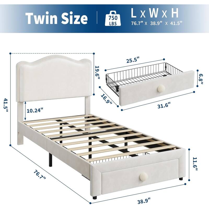 Upholstered Bed Frame for Kids with Storage Drawer and Scallop Headboard, No Box Spring Needed