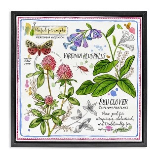 Stupell Wild Herbs Diagram Framed Floater Canvas Wall Art Design By ...