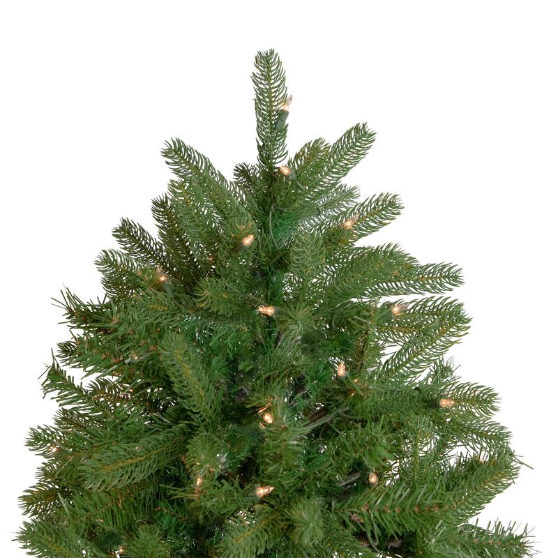 6.5' Full Sierra Noble Fir Artificial Christmas Tree, Clear Lights - 6.5 Foot